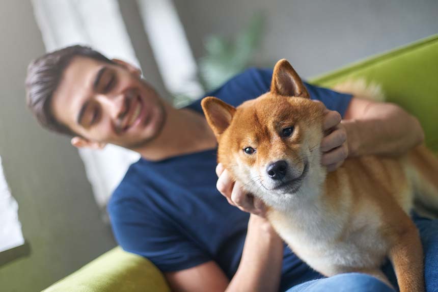 Give friendly commands and treat them with respect