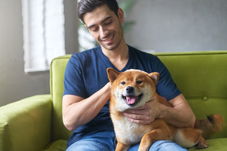 Do a research on your breed and start the training.