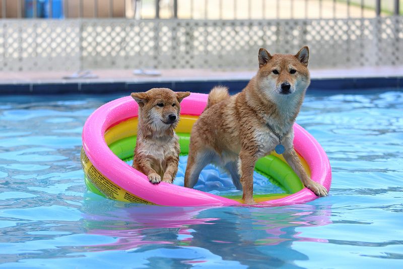 Exercise and Water