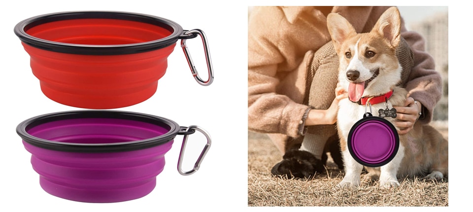 Collapsible Dog Bowls