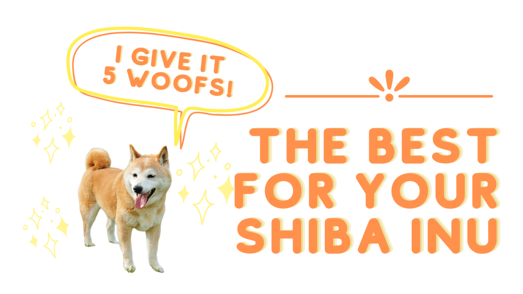 The Top 3 Retractable Dog Leashes of 2020