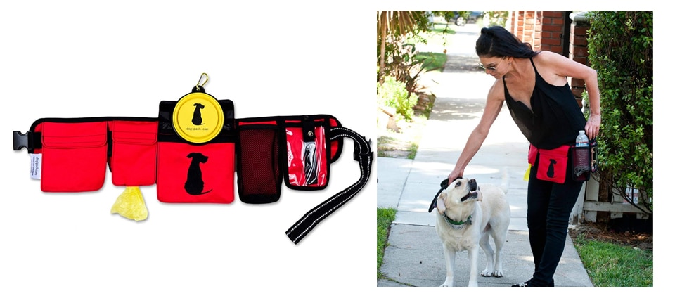 Items that Will Help You Stay Organized When Walking Your Shiba Inu