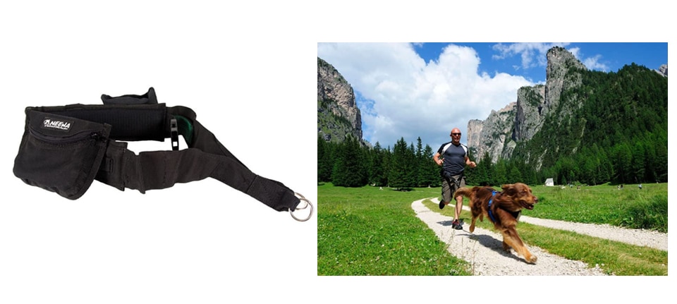 Neewa Dog Walking Belt with Collapsible Bowl and Pocket Holder