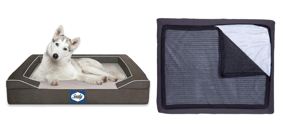 3 Memory Foam Dog Bed Reviews of Medium/Large Dog Beds for the Shiba Inu