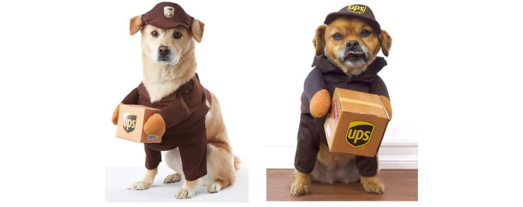Halloween Costumes for your Shiba Inu