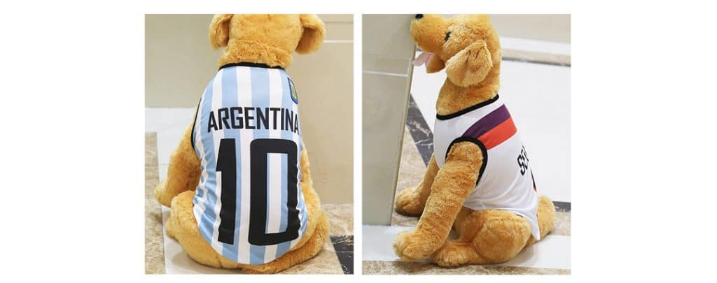 dog costume number and letter
