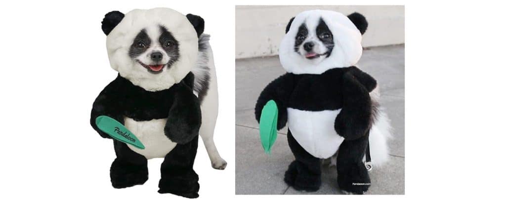 pandaloon dog costume