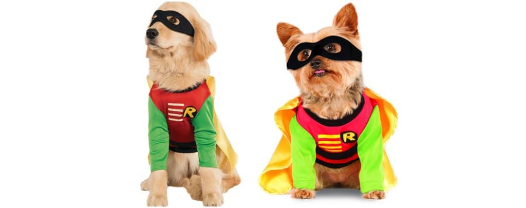 robin dog costume