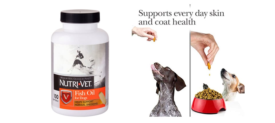 Fish oil supplement