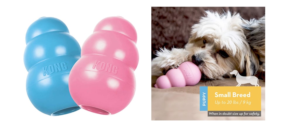Kong chew toy