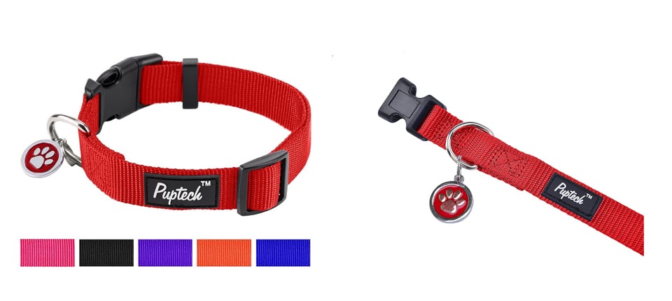 Puppy collar