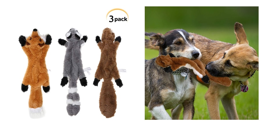 Squeaky toy