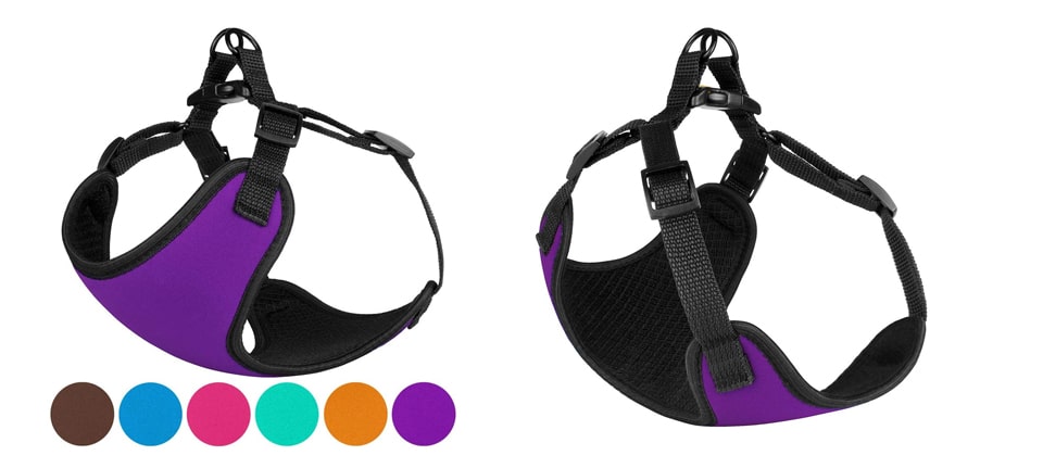 Step in harness