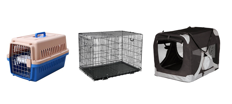 How to Successfully Crate Train Your Dog in 6 Easy Steps