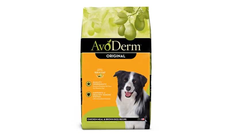 The Best Dog Food for Shiba Inu