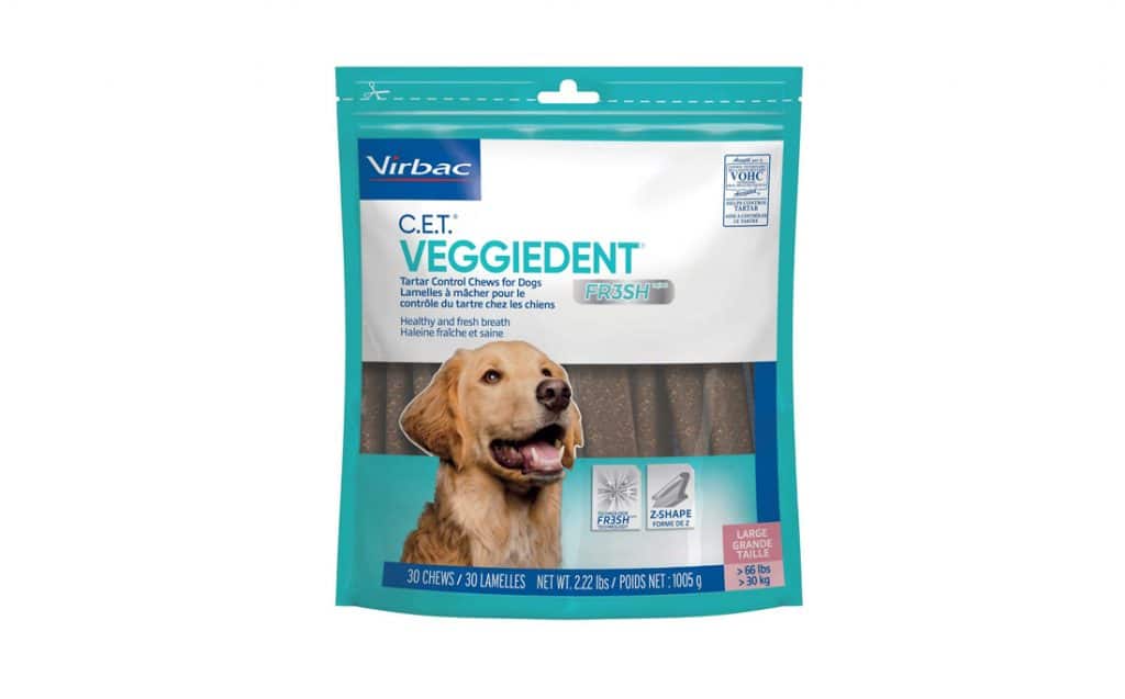 Dental Health for Shiba Inu: The Best Dental Chews 2021