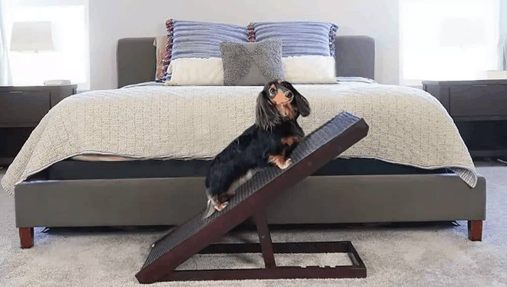 Best Dog Ramp: Alpha Paw PawRamp