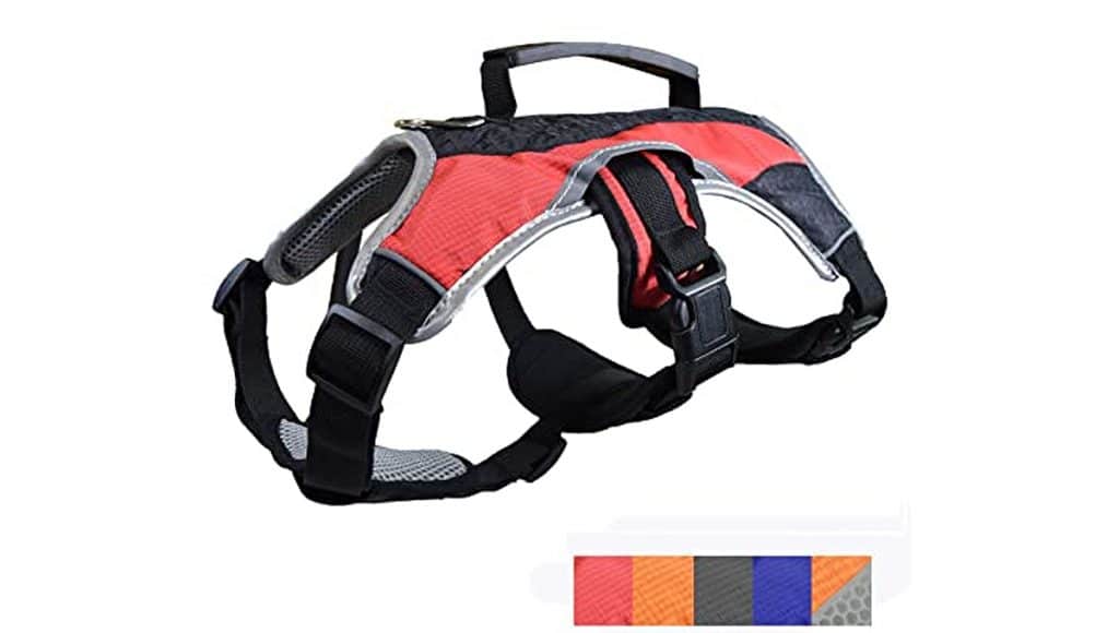 Best Dog Lifting Harness: Peak Pooch Walking and Lifting Harness
