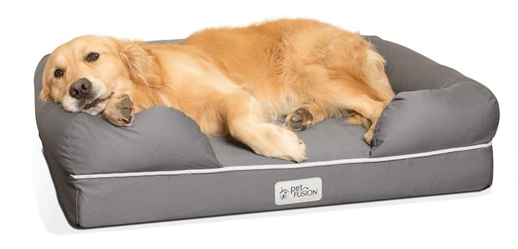 The Best Dog Beds for Puppies and Senior Dogs 2022