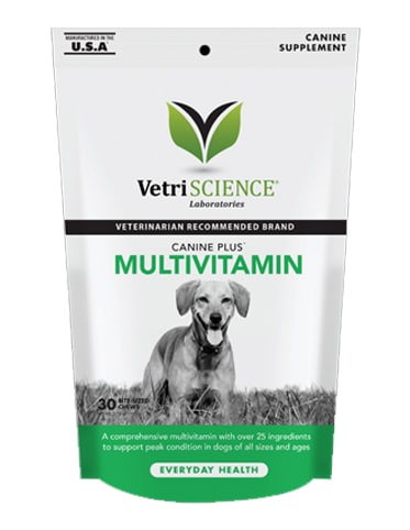 The 5 Best Supplements for Pregnant Dogs