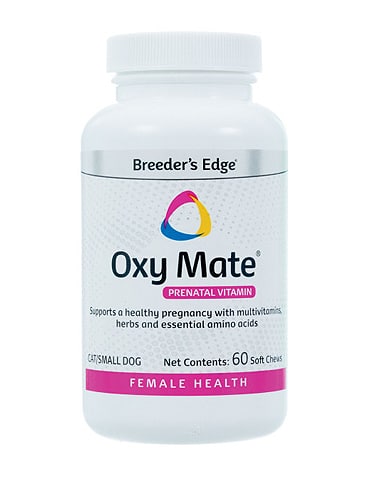 Supplements for Pregnant Dogs