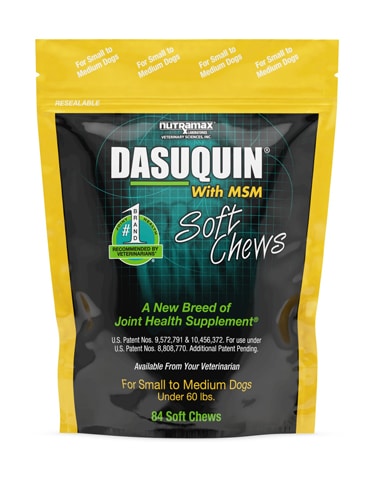 Nutramax Dasuquin with MSM Soft Chews